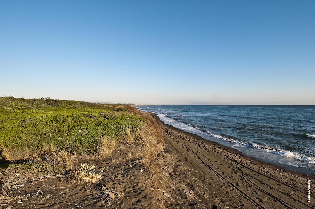 Agriturismo Podere Giulio Таркуїнія Номер фото